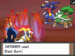 Generation Four Double Battle